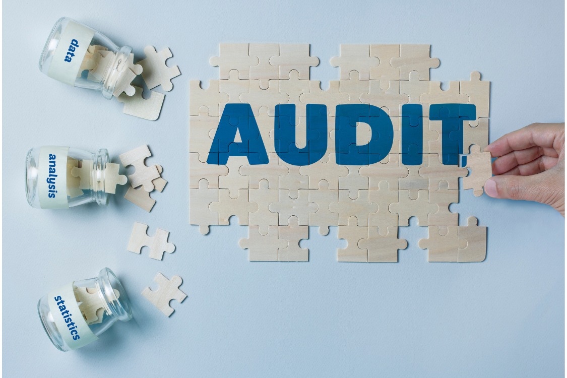 Healthcare Systems & Process Audits